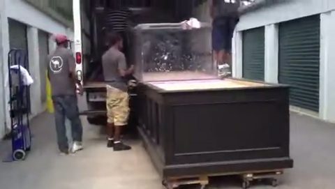 crew easing a giant glass fish tank out of a truck onto its stand